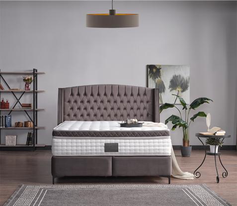 COSMOPOLITAN BAZA SET